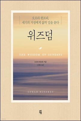 위즈덤