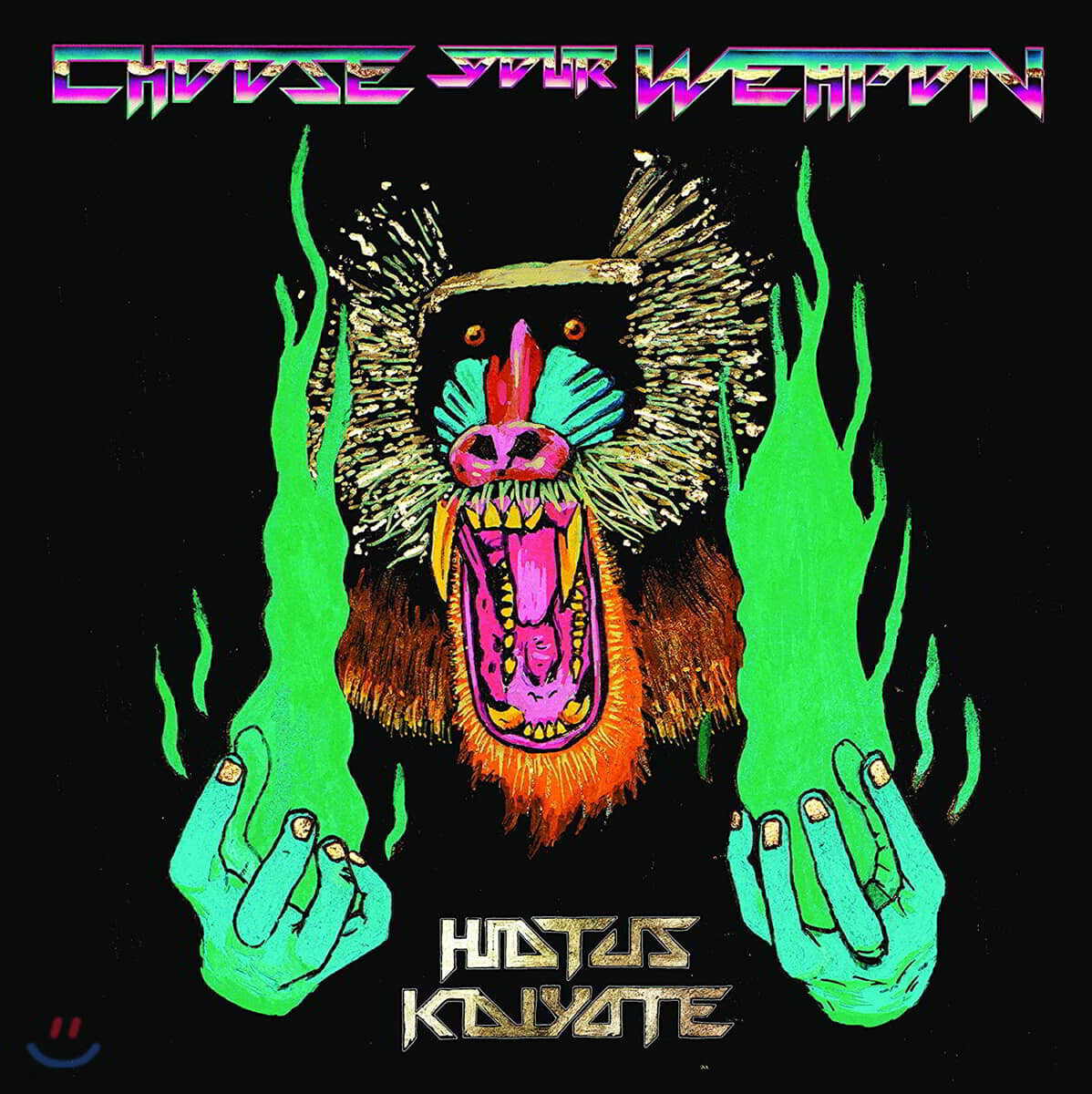 Hiatus Kaiyote (하이에이터스 카이요테) - Choose Your Weapon [2LP]