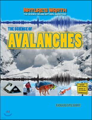 The Science of Avalanches