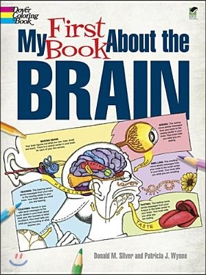 My First Book about the Brain