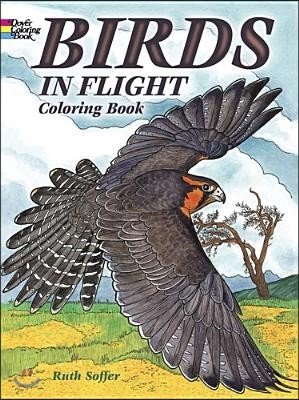 Birds in Flight Coloring Book