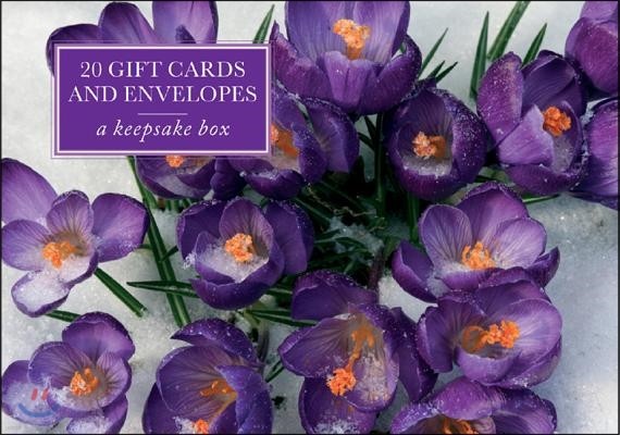 Crocus 20 Gift Cards and Envelopes