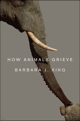 How Animals Grieve