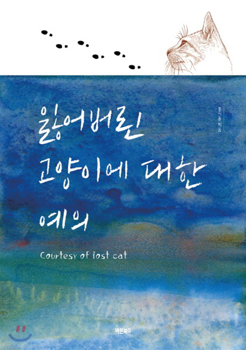 잃어버린 고양이에 대한 예의