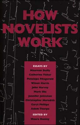 How Novelists Work