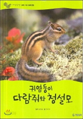 귀염둥이 다람쥐와 청설모
