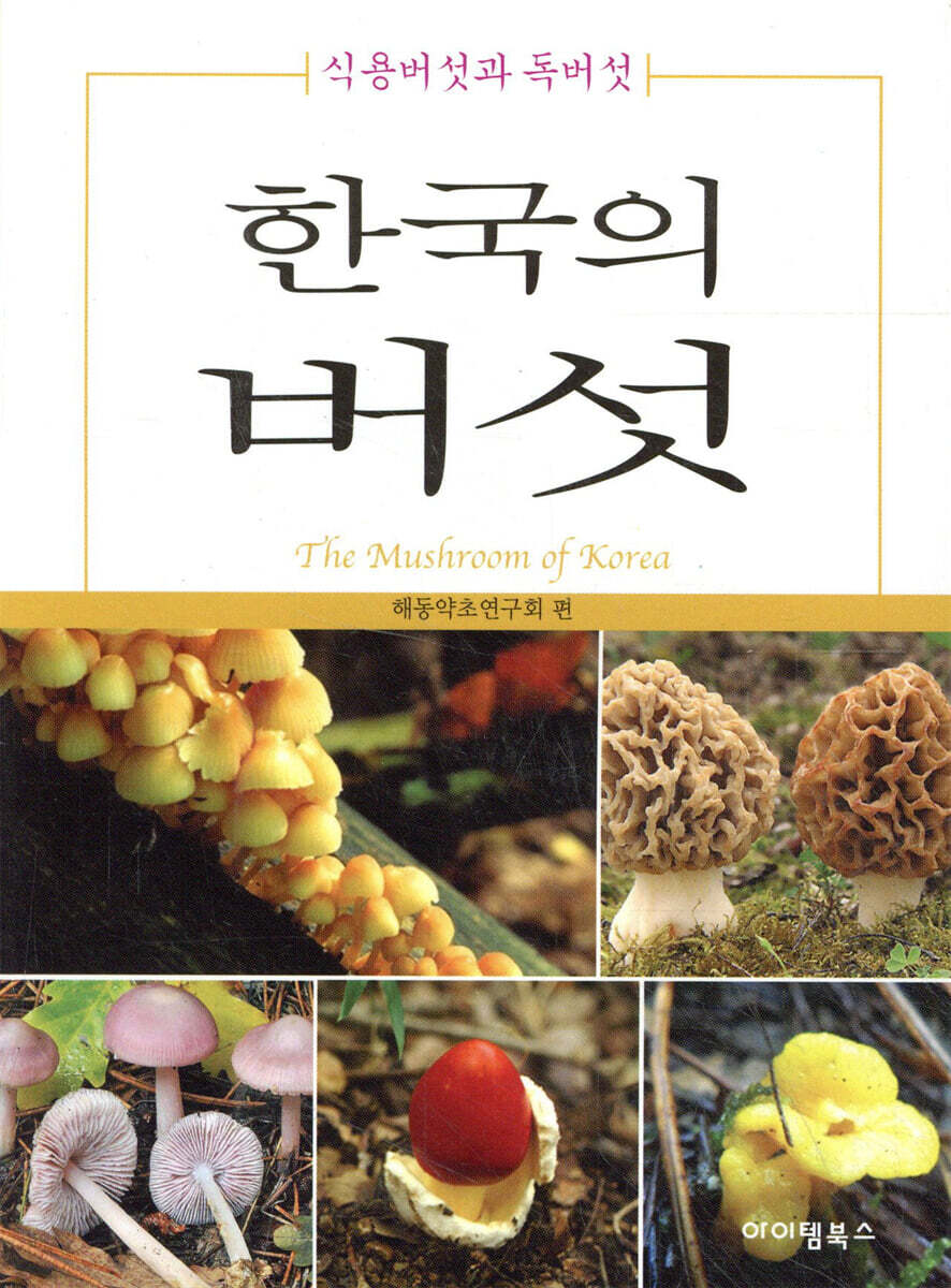 dummy