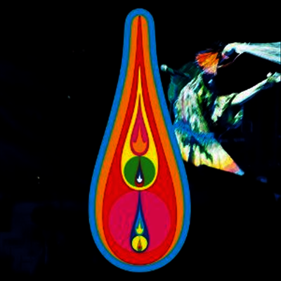 Bjork — Voltaic (Deluxe Edition) 앨범 커버