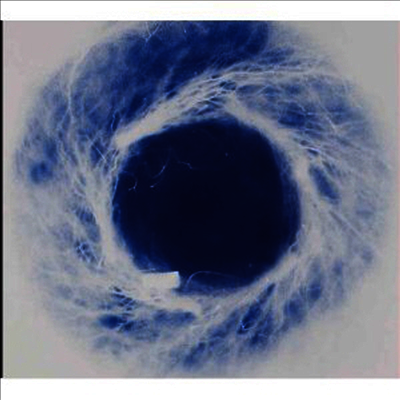 Yoko Ono / Kim Gordon / Thurston Moore - Yokokimthurston (CD)