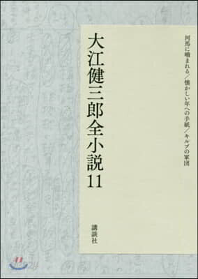 大江健三郞全小說(11)