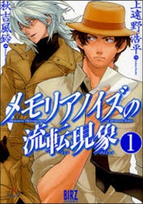 メモリアノイズの流轉現象   1