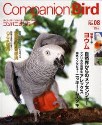 Companion Bird   8