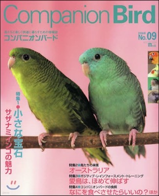Companion Bird   9