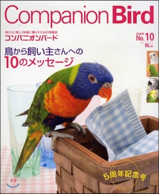 Companion Bird  10
