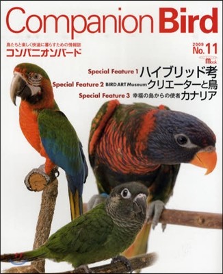 Companion Bird  11