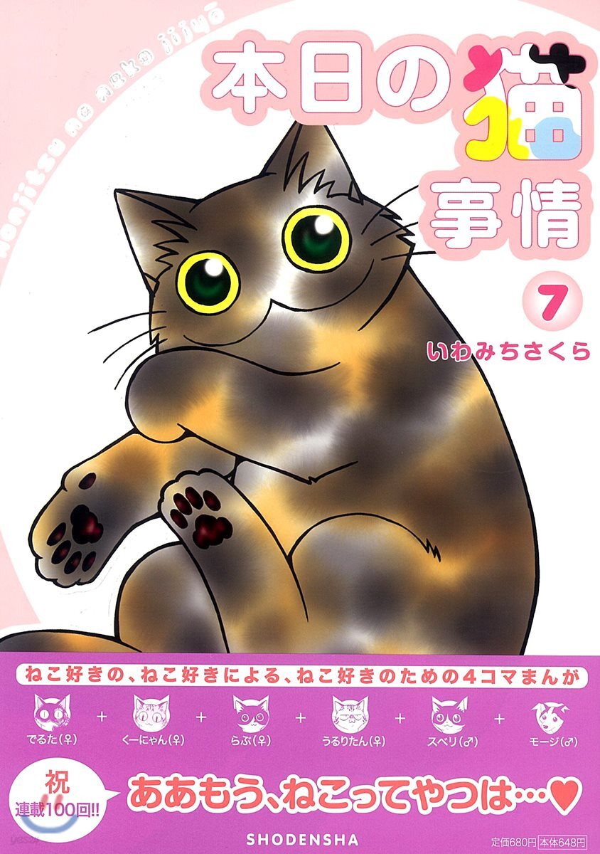本日の猫事情   7