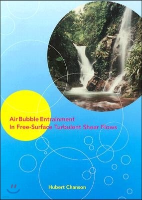 Air Bubble Entrainment in Free-Surface Turbulent Shear Flows