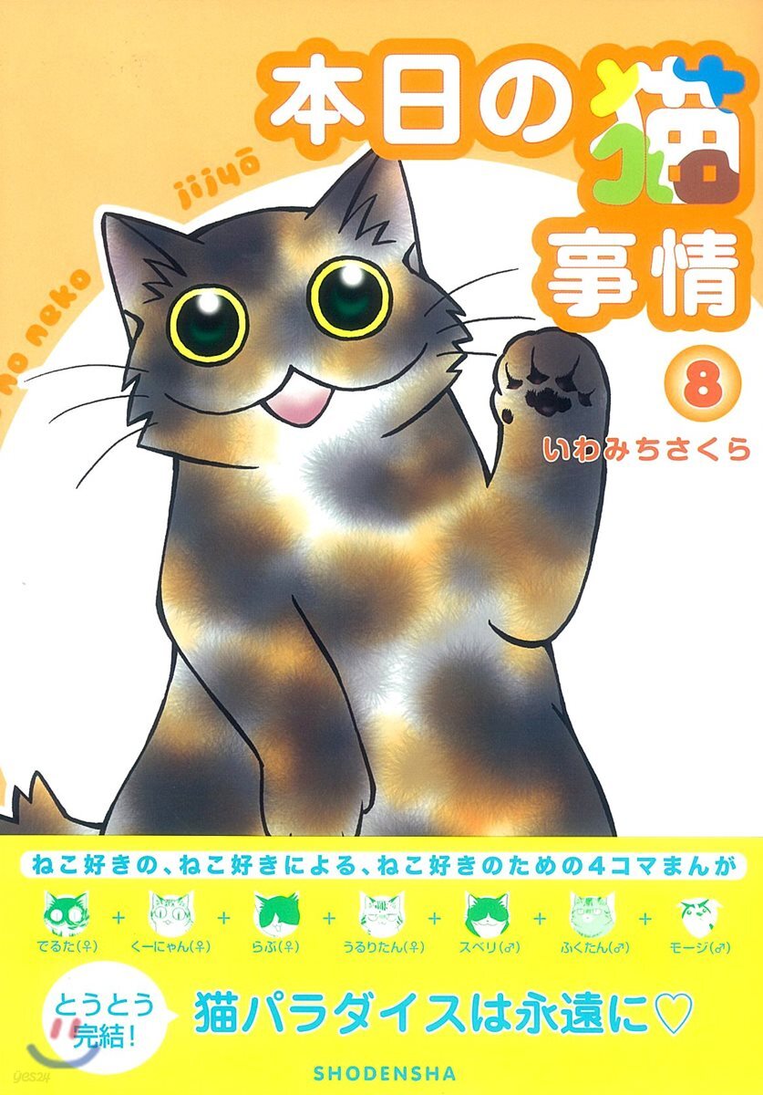 本日の猫事情   8