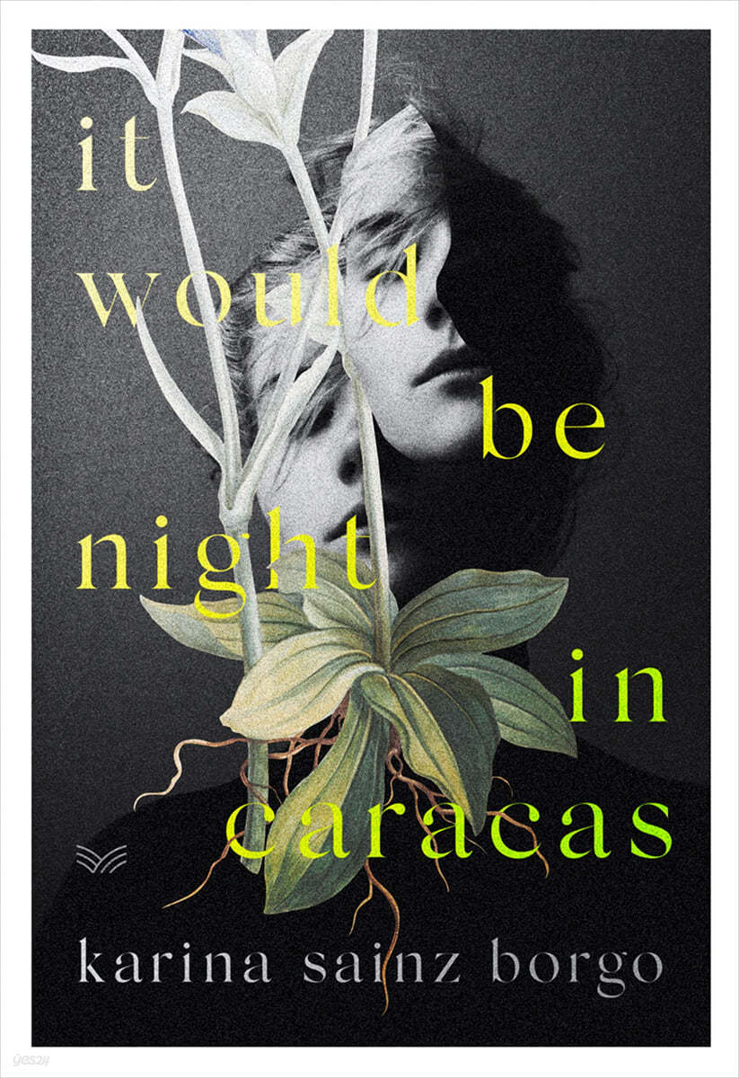It Would Be Night in Caracas