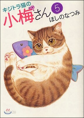 キジトラ猫の小梅さん   5