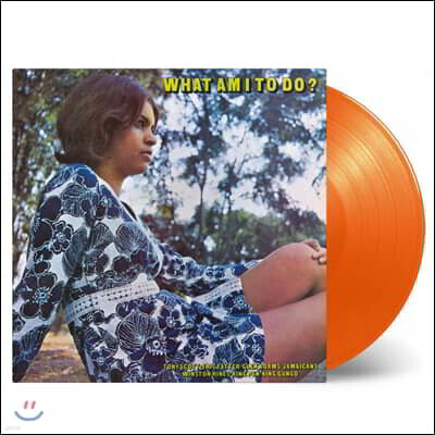 Various Artist — 1960-70년대 레게 음악 모음집 (What Am I To Do?) 앨범 커버