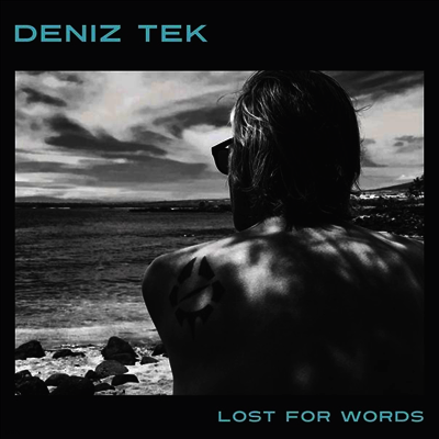 Deniz Tek — Lost For Words 앨범 커버