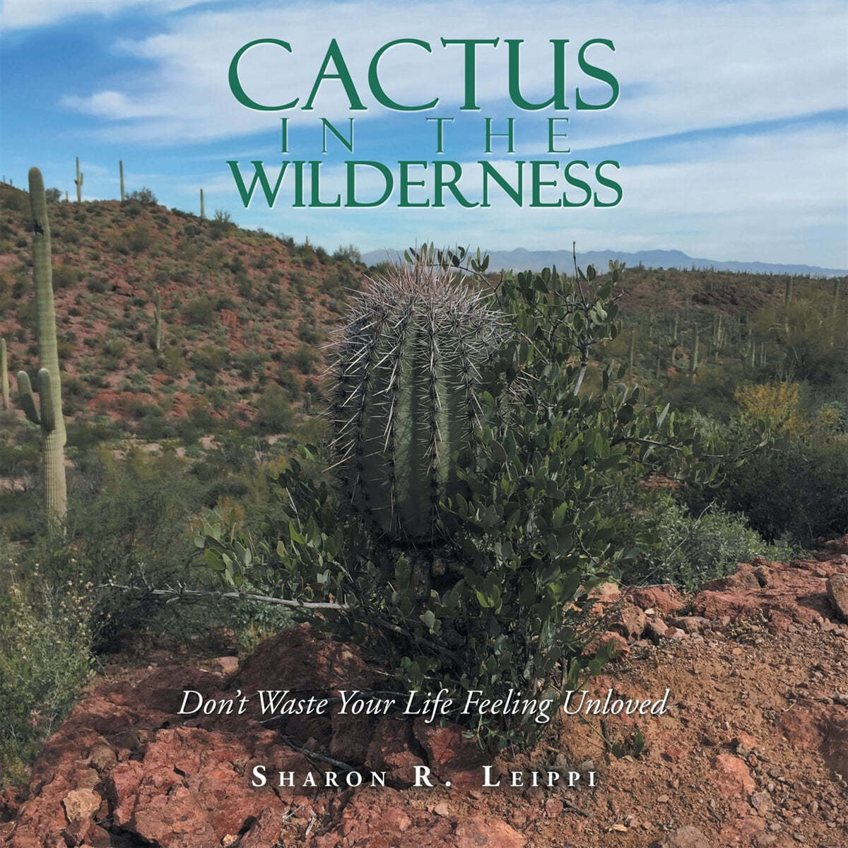 Cactus in the Wilderness