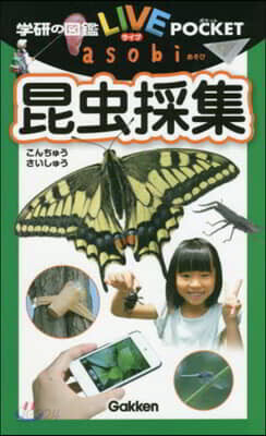 昆蟲採集