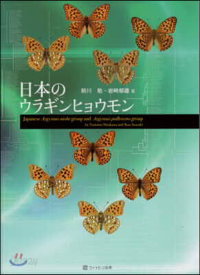 日本のウラギンヒョウモン
