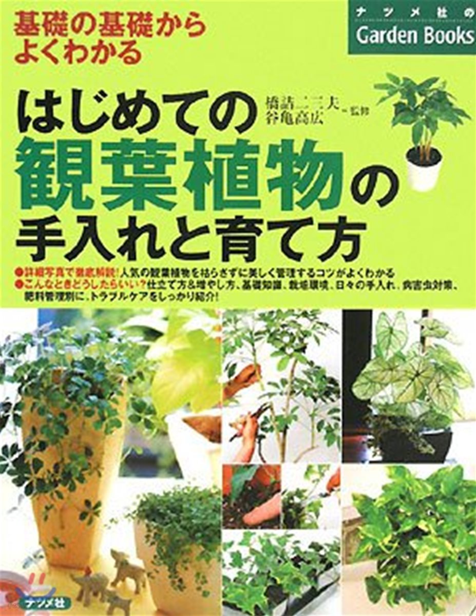 はじめての觀葉植物の手入れと育て方 基礎の基礎からよくわかる