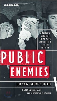Public Enemies