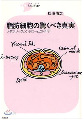 脂肪細胞の驚くべき眞實 メタボリックシンドロ-ムの科學