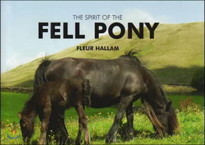 The Spirit of the Fell Pony