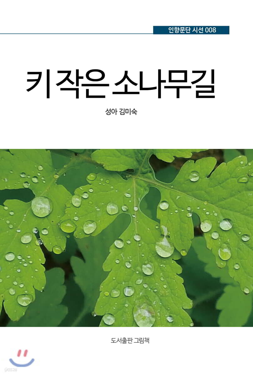 키 작은 소나무길