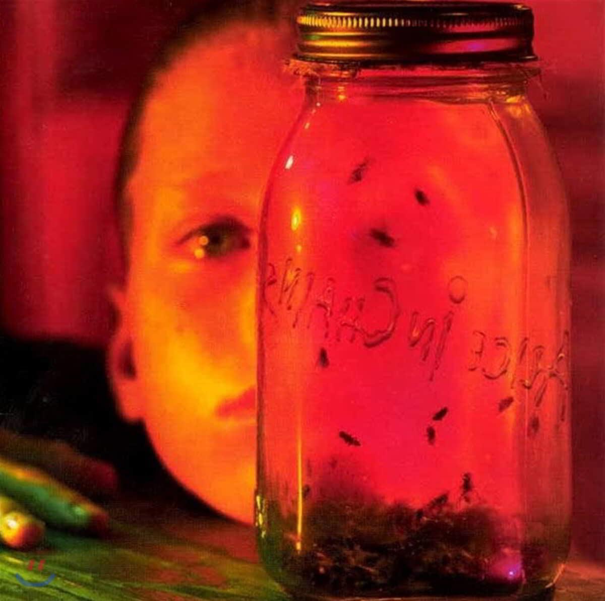 Alice In Chains (앨리스 인 체인스) - Jar Of Flies