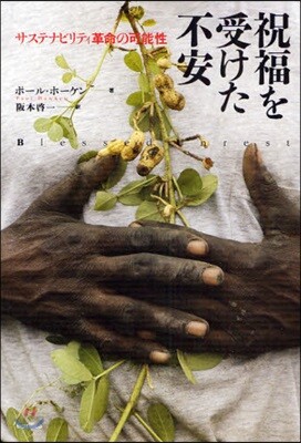 祝福を受けた不安 サステナビリティ革命の可能性