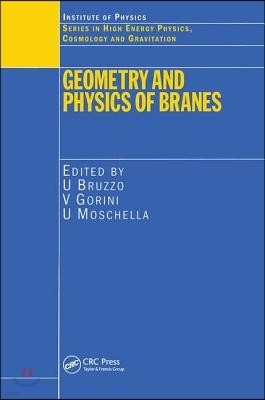 Geometry and Physics of Branes