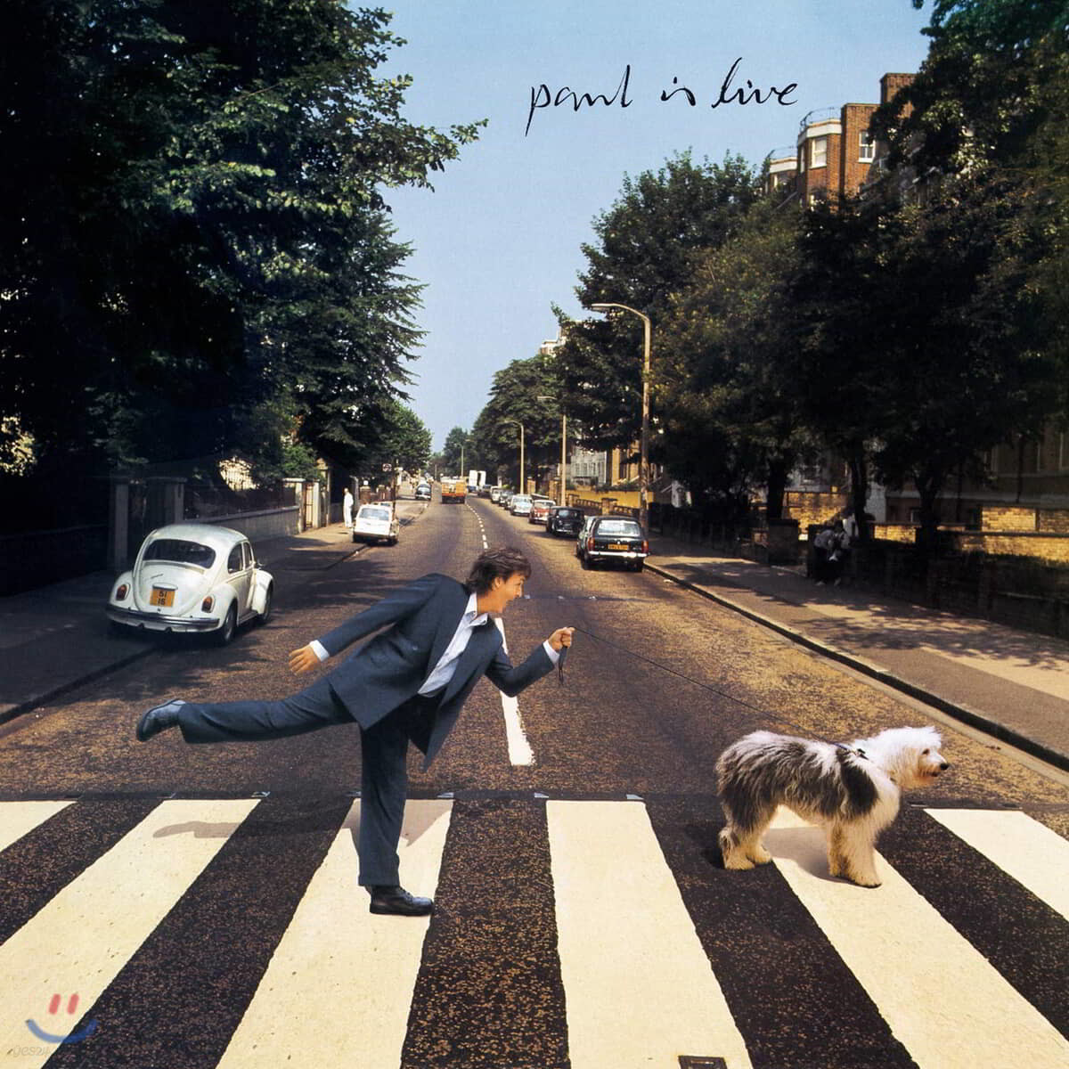 Paul McCartney - Paul Is Live 폴 매카트니 1993년 뉴 월드 투어 실황 [2LP]