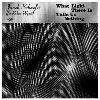 Janek Schaefer — What Light There Is Tells Us Nothing (Gatefold) 앨범 커버