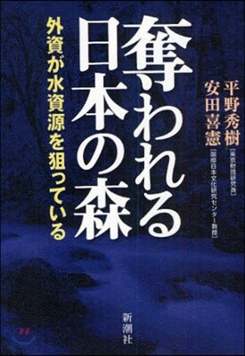 奪われる日本の森 外資が水資源を狙っている