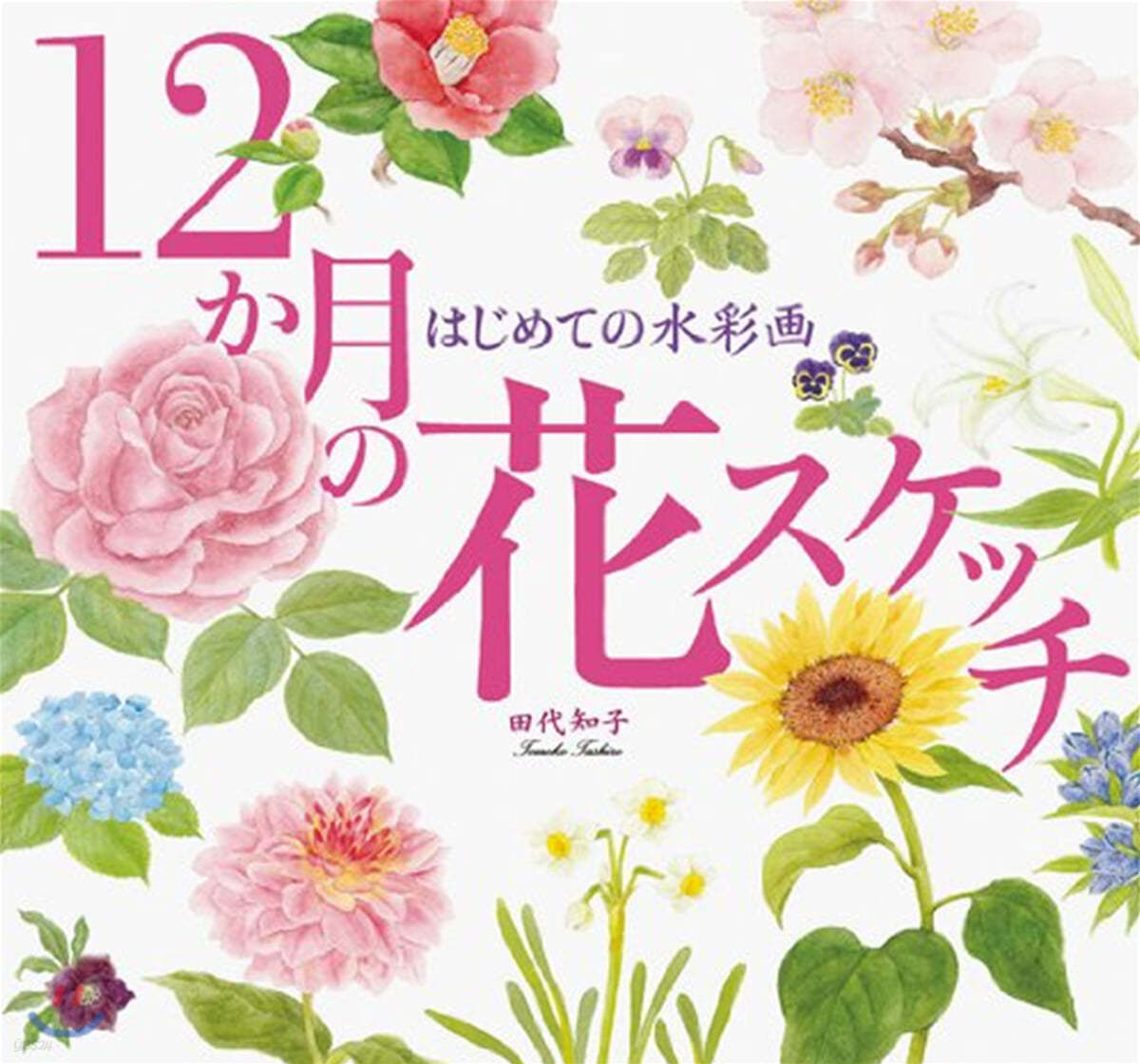 12か月の花スケッチ はじめての水彩畵