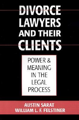 Divorce Lawyers and Their Clients: Power and Meaning in the Legal Process