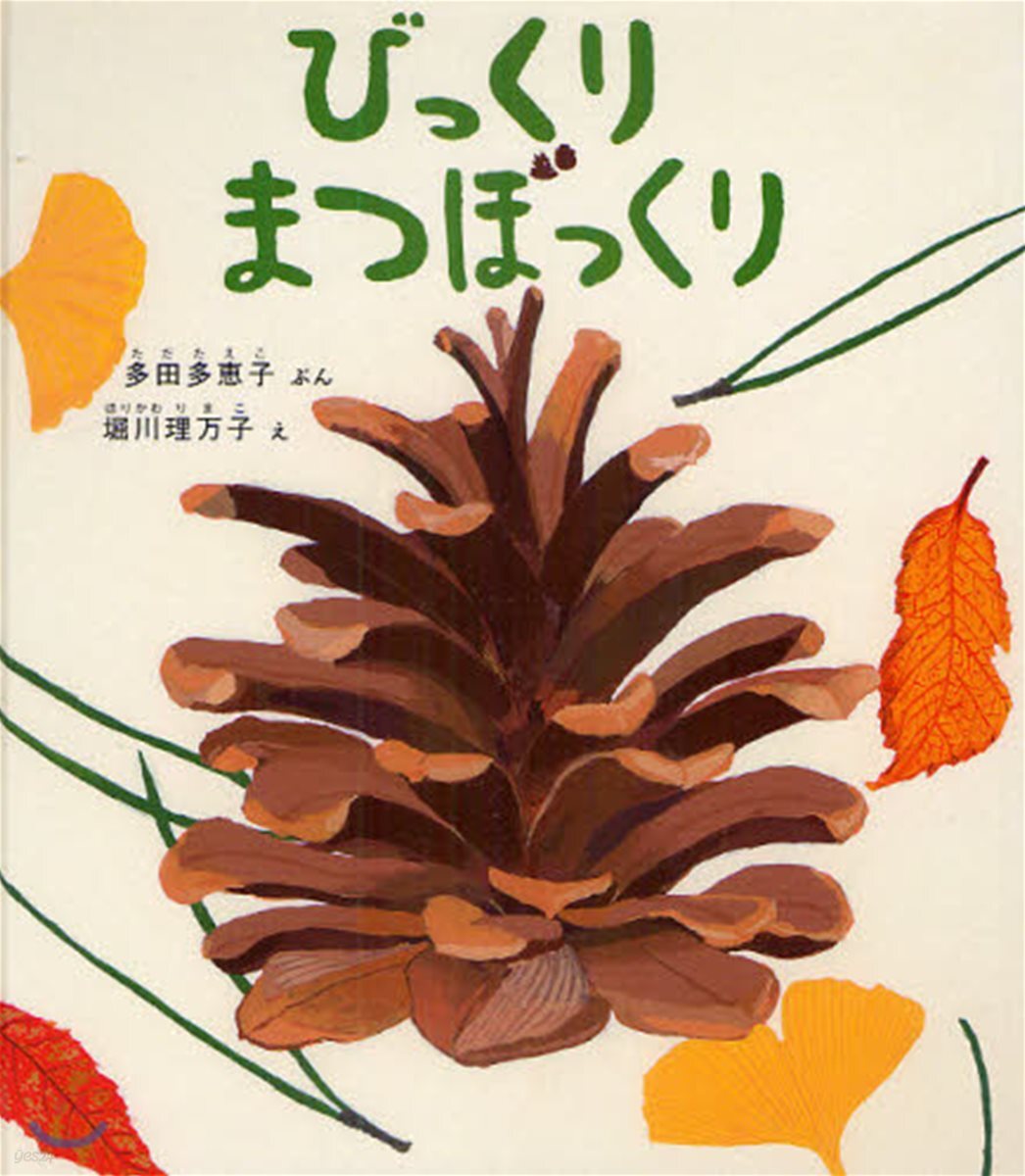 びっくりまつぼっくり