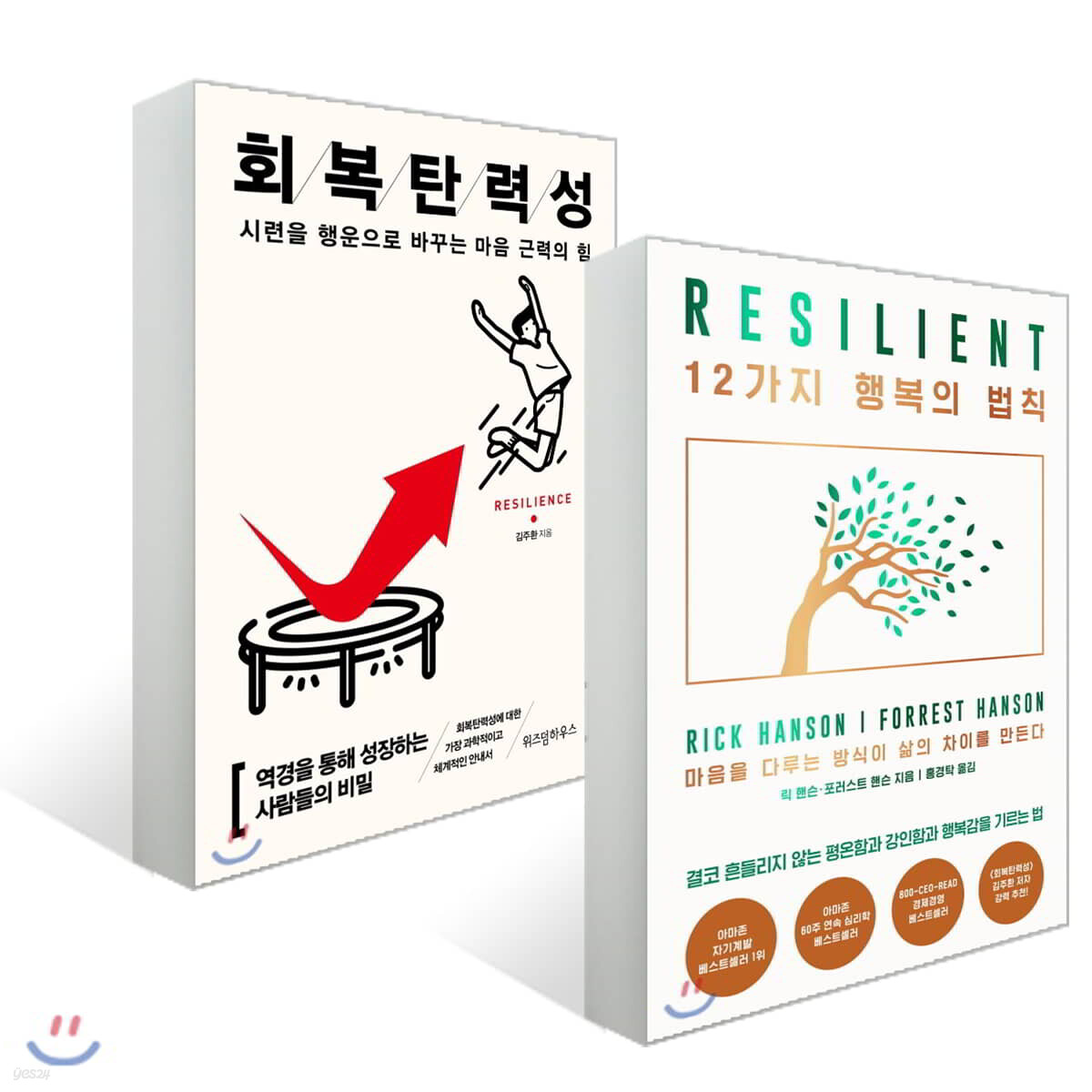 회복탄력성 + 12가지 행복의 법칙