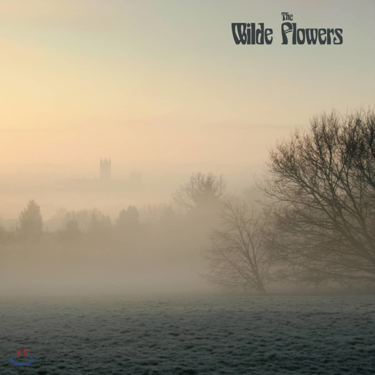 The Wilde Flowers (와일드 플라워스) - The Wilde Flowers [LP]