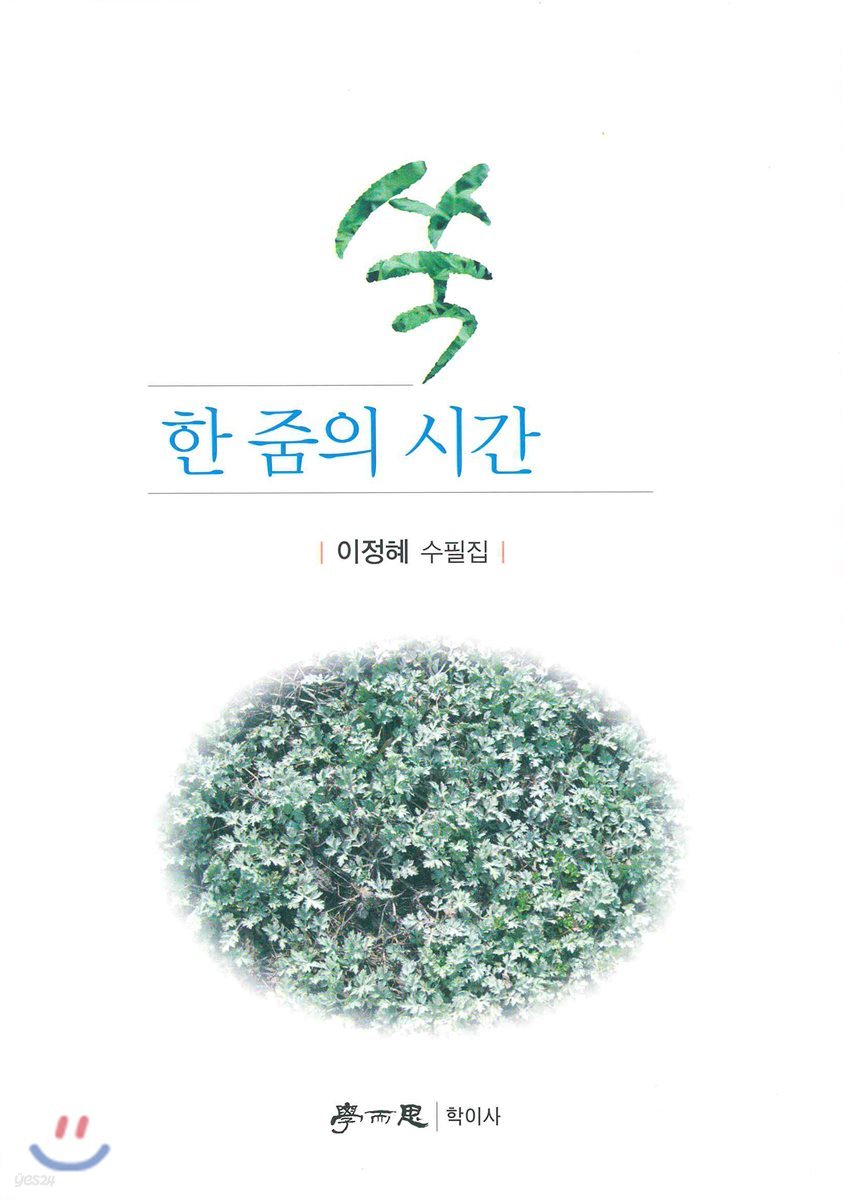 쑥 한 줌의 시간