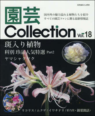 Collection Vol.18  