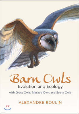 Barn Owls