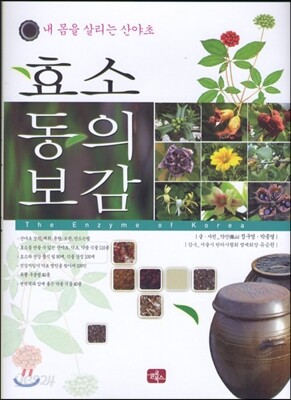 효소 동의보감