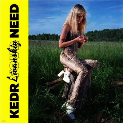 Kedr Livanskiy — Your Need (MP3 Download) 앨범 커버
